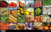 رئیس کمیسیون کشاورزی اتاق ایران؛خرید تضمینی باعث افزایش قیمت مواد غذایی می‌شود