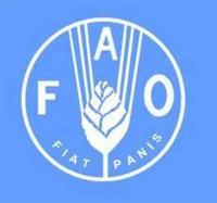 فائو: تولید غلات در سال ۲۰۱۷ بالاترین رکورد جهانی را شکست