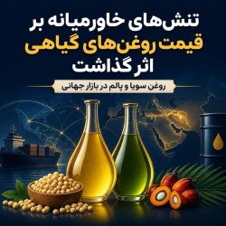 افزایش قیمت روغن‌های گیاهی در پی رشد بهای انرژی