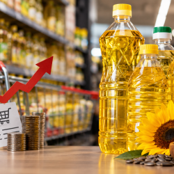 افزایش قیمت روغن خوراکی در ایران؛ دلایل گرانی روغن نباتی چیست؟