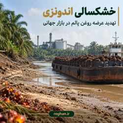خشکسالی اندونزی و تهدید عرضه روغن پالم در بازار جهانی