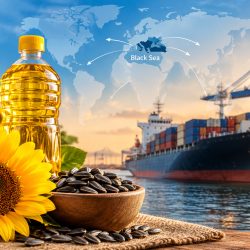 کاهش صادرات جهانی روغن آفتابگردان در ماه‌های پایانی سال ۲۰۲۶